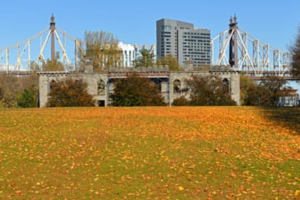 Four Freedoms Park